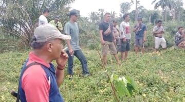 Warga Kutalimbaru Desak Peninjauan Ulang Izin PT Serdang Hulu atas Lahan Bekas Pemukiman Tujuh Kampung